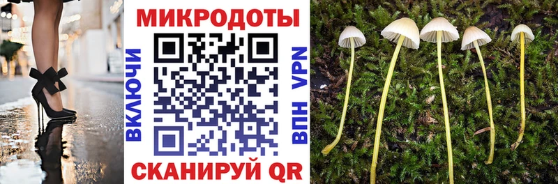 Галлюциногенные грибы Psilocybe  Михайловск 